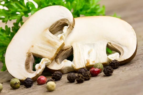 Mushrooms — Stock Photo, Image