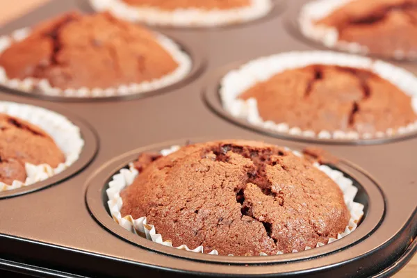 Chocolate cupcakes — Stock Photo, Image