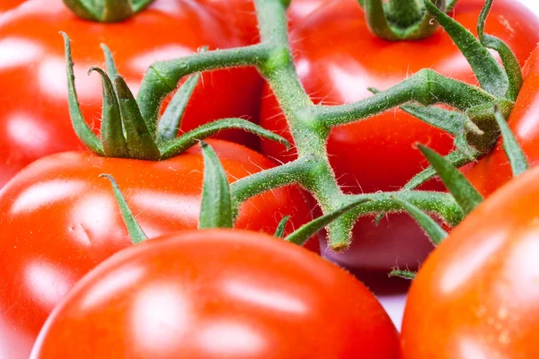 Tomates — Foto de Stock