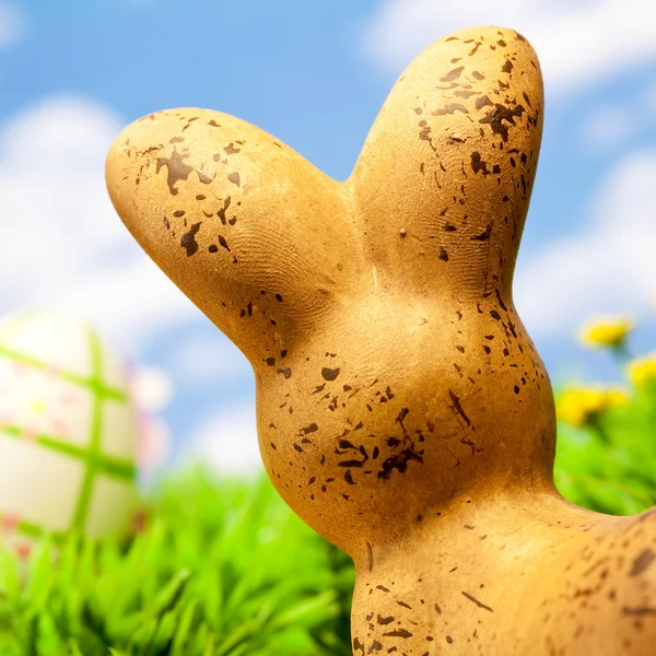 Easter bunny — Stock Photo, Image