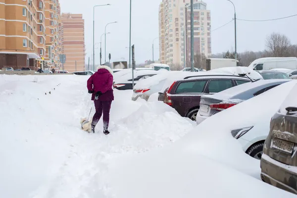 Москва Россия Февраля 2021 Года Парковка Улице Покрытой Снегом Женщина — стоковое фото