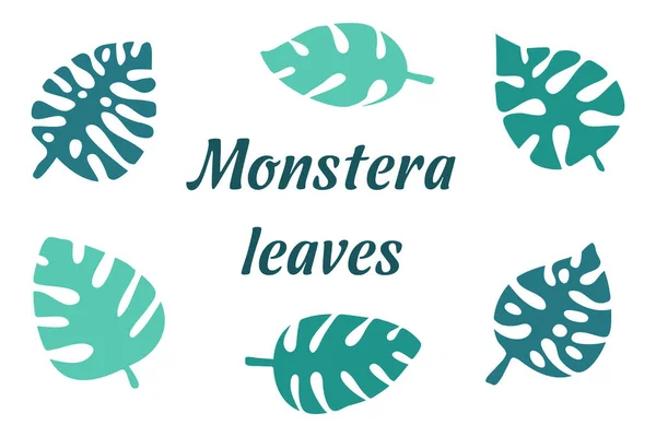 Monstera Tropical Leaves Set Green Turquoise Color Vector Illustration — Stock Vector