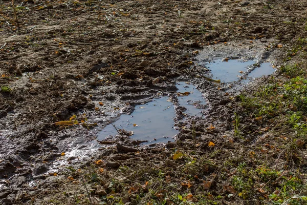 Земля После Дождя Лужи Естественный Сельский Фон Осенью Дождливая Погода — стоковое фото
