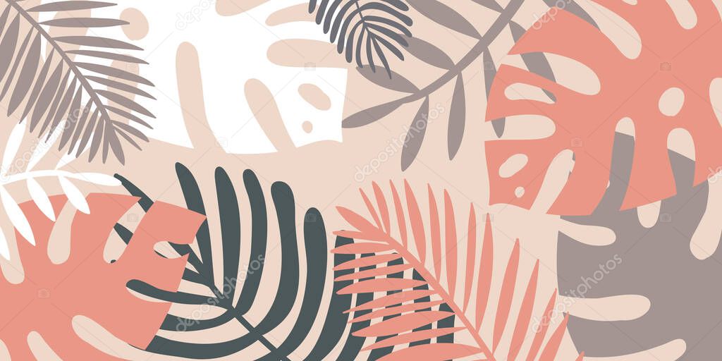 Tropical background, monstera palm leaf leaflet for design. Composition of pink gray tropical leaves