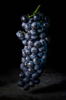 Koyu renkli üzümlü böğürtlenler koyu arkaplanda düşük ışıkta havada asılı duruyor.