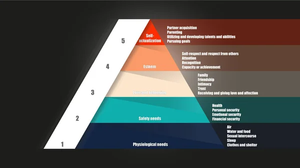 Maslow Szükségleteinek Hierarchiája Abraham Maslow Piramis Igények Vektor Tervezés — Stock Vector