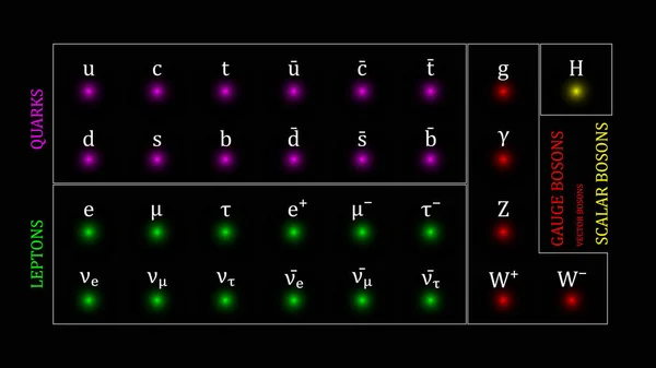 Standard Model Elementary Particles Vector Design — Archivo Imágenes Vectoriales
