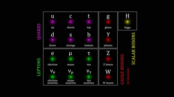 Standard Model Elementary Particles Vector Design — Archivo Imágenes Vectoriales