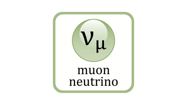Muon Neutrino Icon Standard Model Elementary Particles Vector Design — Vettoriale Stock