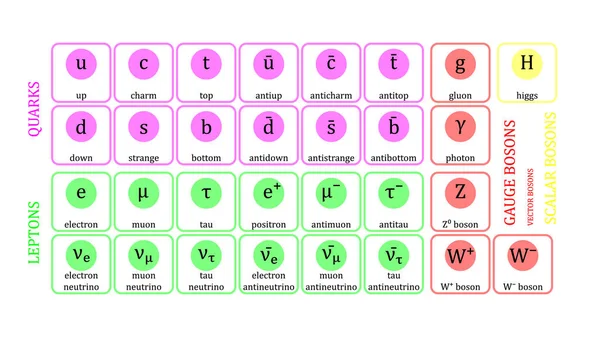 Standard Model Elementary Particles Vector Design Vetor De Stock