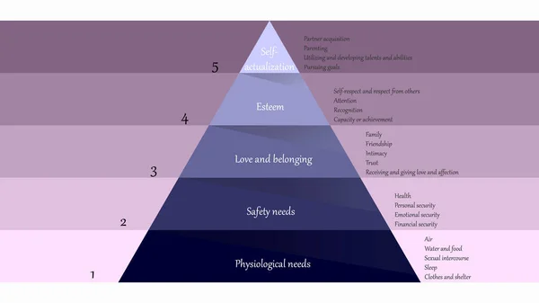 Maslow Szükségleteinek Hierarchiája Abraham Maslow Piramis Igények Vektor Tervezés — Stock Vector