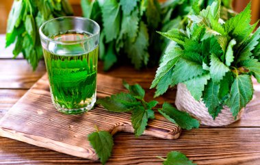 Bardakta ısırgan otu çayı ve taze ısırgan otu. Bitki çayı. Urtica dioica.