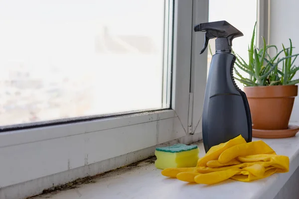 Cleaning supplies, housekeeping. Mold in the corner of the window. Preparation for removing mold. Copy space.