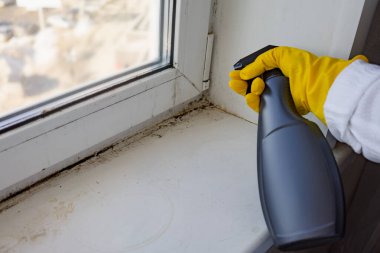 Bir kadın küf ilacı sıkar. Kir ve küften yapılmış plastik pencere ve pencere pervazı. Seçici odaklanma. Boşluğu kopyala.