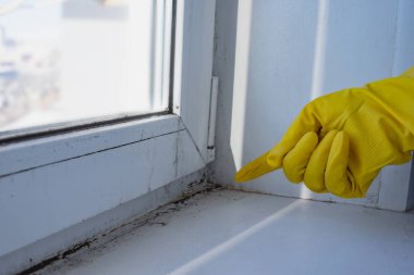 Pencere kenarındaki kalıbı gösteren plastik koruyucu eldiven verin. Uzayı kopyala Seçici odak.