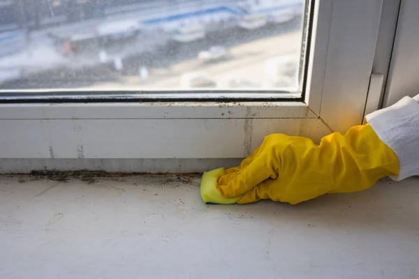 Cleaning the window sill from mold and dirt. Copy space.