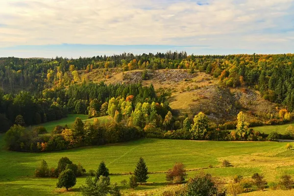 Podzimní Krajina Krásné Barevné Listy Přírodě Sluncem Sezónní Koncept Venku — Stock fotografie