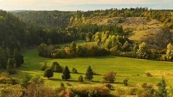 Paesaggio Autunno Belle Foglie Colorate Natura Con Sole Concetto Stagionale — Foto Stock