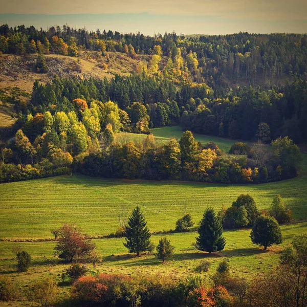 秋の風景 太陽と自然の中で美しいカラフルな葉 秋の公園で屋外の季節のコンセプト — ストック写真