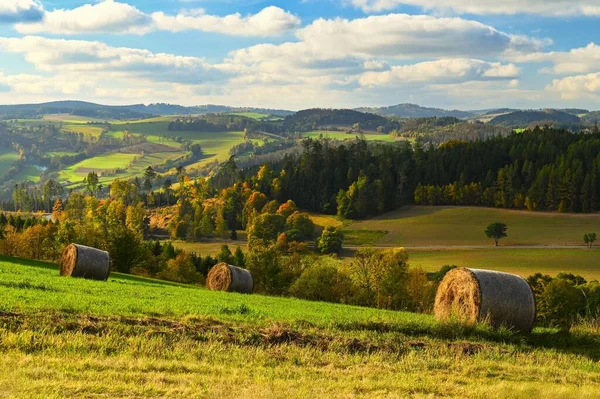 美しい秋の風景 自然のカラフルな背景 自然の中でカラフルな秋の雰囲気チェコ ヨーロッパ — ストック写真