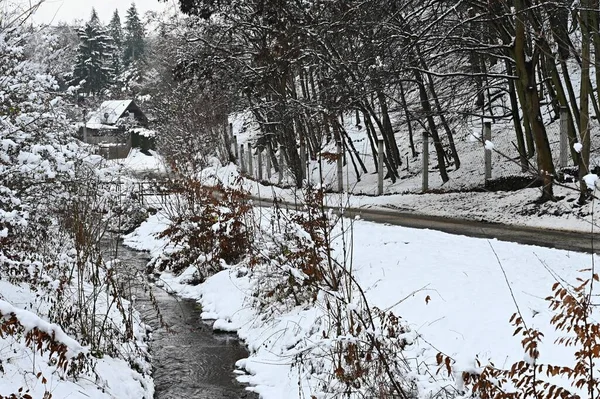아름다운 눈덮인 겨울의 계절의 — 스톡 사진