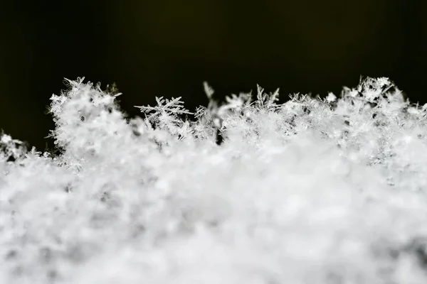 Real Snowflake Beautiful Macro Shot Frozen Snow Winter — Stock Photo, Image