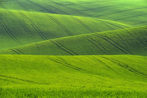 Beautiful Landscape Spring Nature Waves Field South Moravia Moravian Tuscany — стокове фото