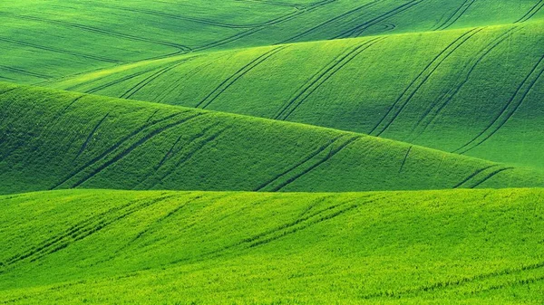 Beautiful Landscape Spring Nature Waves Field South Moravia Moravian Tuscany — стокове фото