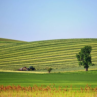 Traktör sahada. Çek Cumhuriyeti 'nin kırsal kesimindeki güzel bahar manzarası. Tarım ve doğa kavramı.