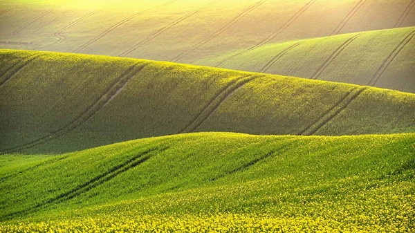 Весняний Пейзаж Сонця Фото Моравської Тоскані Чеській Республіки — стокове фото
