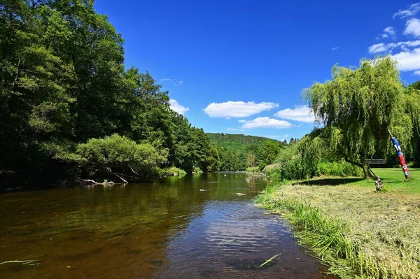 Beautiful Landscape Summer Nature Jihlava River Valley South Moravia Czech — Stock fotografie
