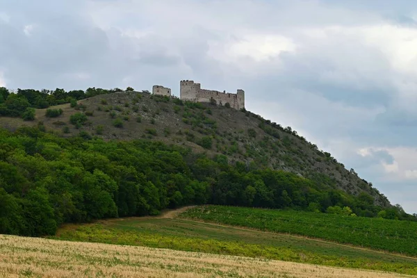 South Moravia Palava Wine Region Czech Republic Ruins Old Castle — Stock Photo, Image