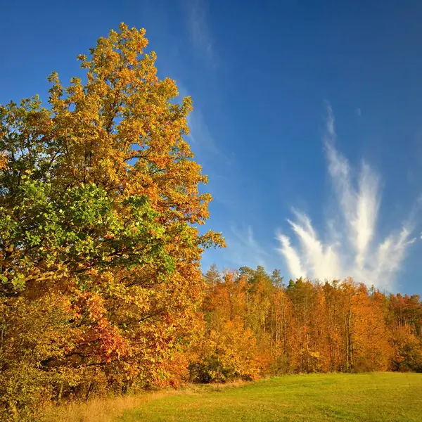 Осеннее Время Красивый Пейзаж Красочными Деревьями Наружный Естественный Фон Осени — стоковое фото