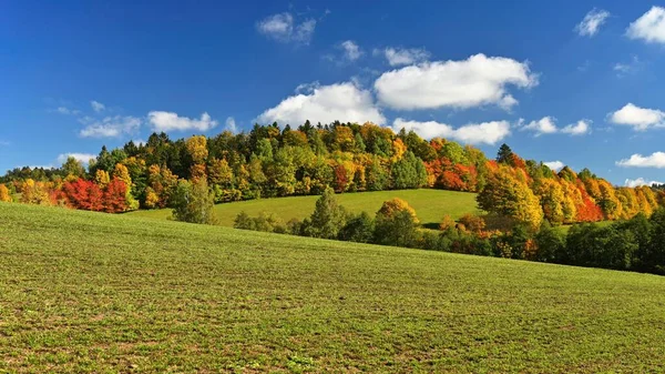 Осенний Пейзаж Красивая Красочная Природа Осенью Чехия Сезонный Фон — стоковое фото