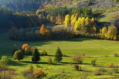 Çek Cumhuriyeti 'nde manzaralı güzel bir sonbahar doğası. Mavi gökyüzü ve güneşli renkli ağaçlar. Sonbahar ve çevre için arkaplan.