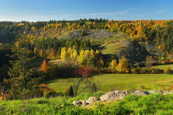Bellissima Natura Autunnale Con Paesaggio Nella Repubblica Ceca Alberi Colorati — Foto Stock
