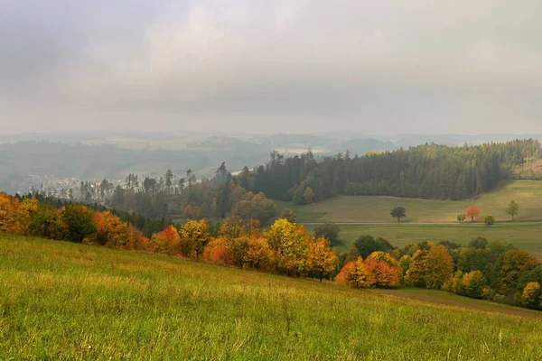 Renkli Ağaçlarla Dolu Güzel Bir Sonbahar Manzarası Sis Kırsal Manzaralı — Stok fotoğraf