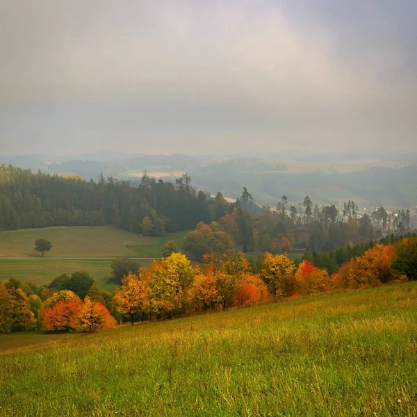 美丽的秋天风景 绿树成荫 有雾和乡村景观的自然背景 — 图库照片