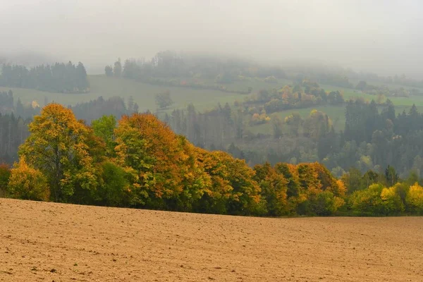 Piękny Jesienny Krajobraz Kolorowymi Drzewami Tło Przyrodnicze Mgłą Krajobrazem Wiejskim — Zdjęcie stockowe