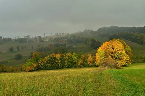 Beautiful Autumn Landscape Colorful Trees Nature Background Fog Rural Landscape — Stock Photo, Image