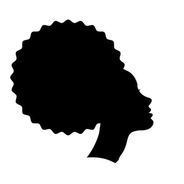 Африканская Красотка Портретом Афро Стиле Черно Белая Иллюстрация — стоковый вектор