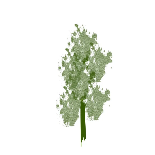 Aquarellbaum Gartenillustration Inspirierend Und Verträumt Baumzeichnung Und Malerei — Stockvektor