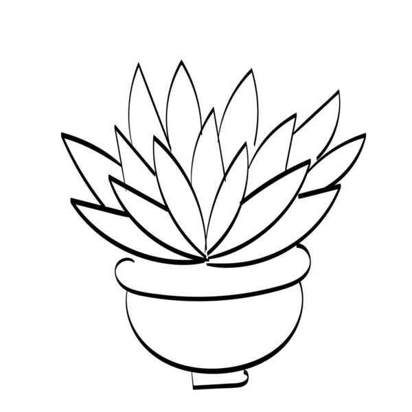 Cactus Esboço Vetor Desenhado Mão Ilustração Para Impressão Uso Como — Vetor de Stock