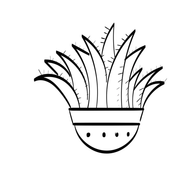 Illustration Dessinée Main Vectorielle Croquis Cactus Pour Impression Utilisation Comme — Image vectorielle