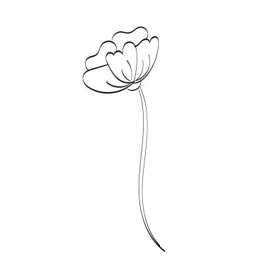 Siyah siluetler, çiçekler ve otlar beyaz arka planda izole edilmiş. El çizimi bir çiçek.