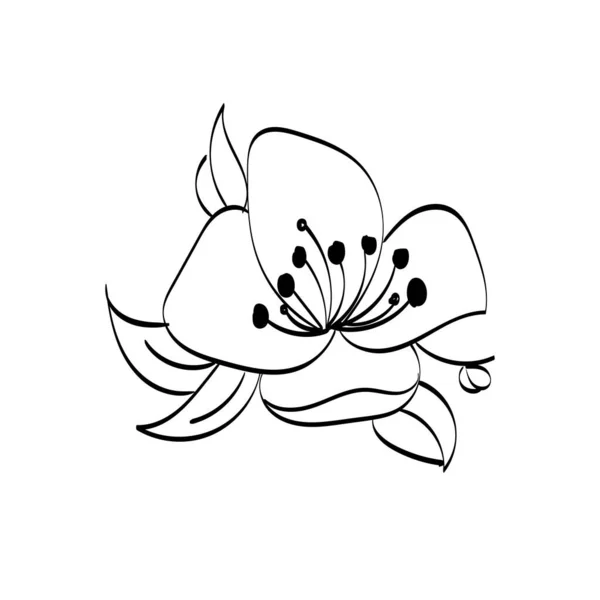 Silhuetas Pretas Flores Ervas Isoladas Sobre Fundo Branco Desenho Desenhado — Vetor de Stock
