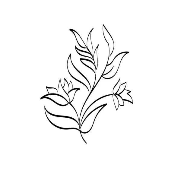 在白色背景上分离的黑色轮廓 花朵和草本植物 手绘素描花 — 图库矢量图片