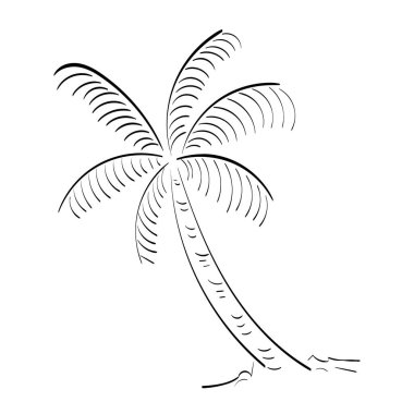 Siyah vektör tek palmiye ağacı tasarımı. Yazdırma için Satır Sanat Çizimi veya poster, kart, broşür veya tişört olarak kullanın