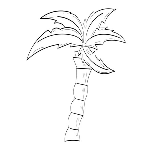 Vetor Preto Design Palmeira Única Desenho Arte Linha Para Impressão — Vetor de Stock