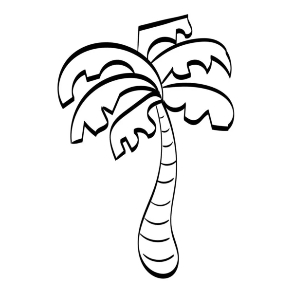 黑色矢量单棵棕榈树的设计 印刷或用作招贴画 传单或T恤衫的线条画 — 图库矢量图片